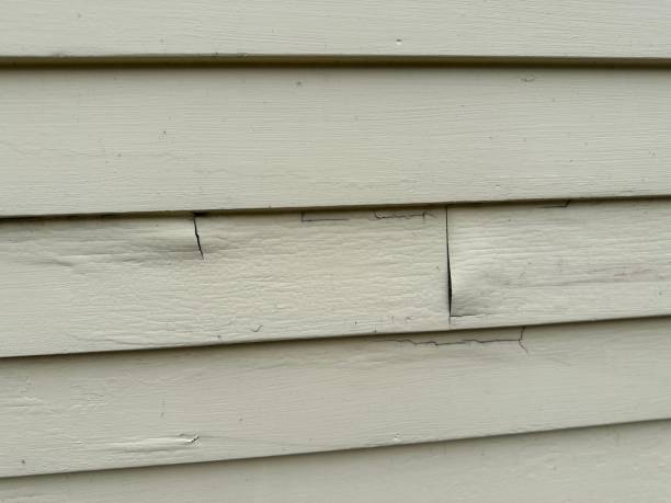 Affordable Siding Repair and Maintenance Services in Ventnor City, NJ